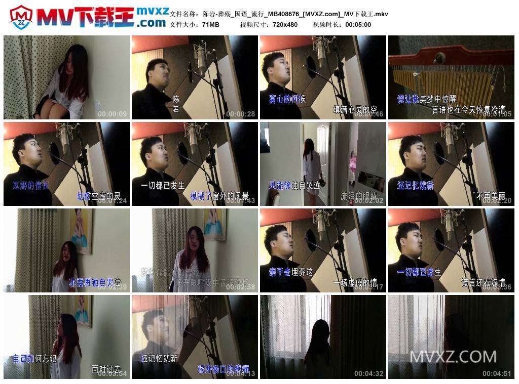 陈岩-葬殇_国语_流行_MB408676